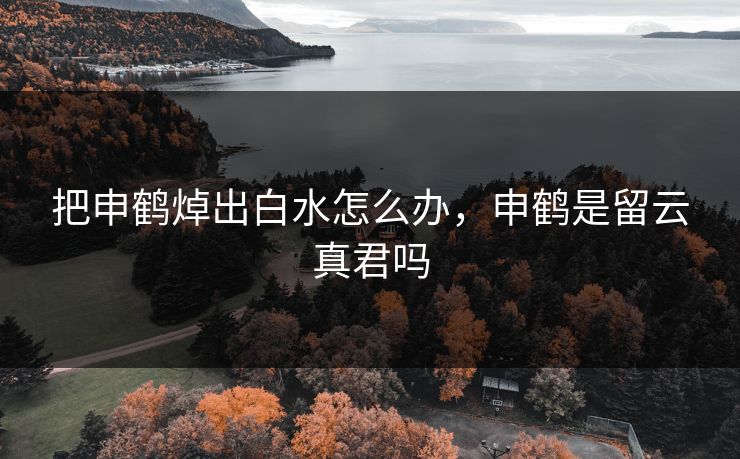 把申鹤焯出白水怎么办,申鹤是留云真君吗 把申鹤焯出白水怎么办,申鹤是留云真君吗