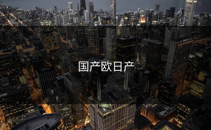 国产欧日产 国产欧日产