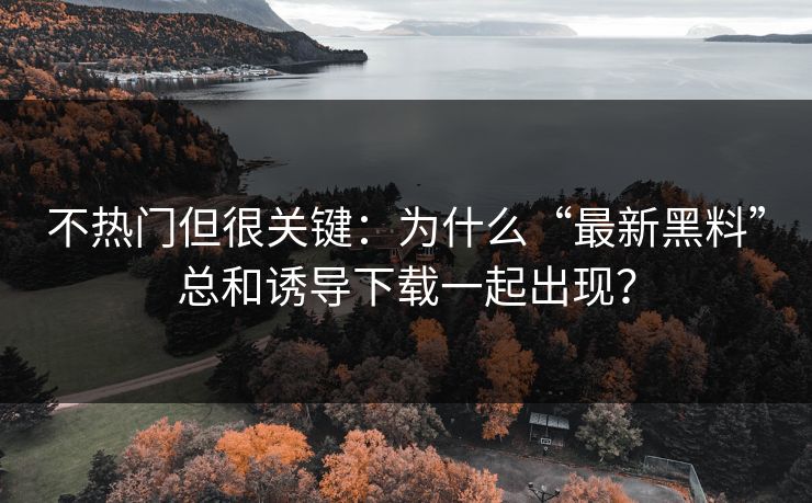不热门但很关键：为什么“最新黑料”总和诱导下载一起出现？